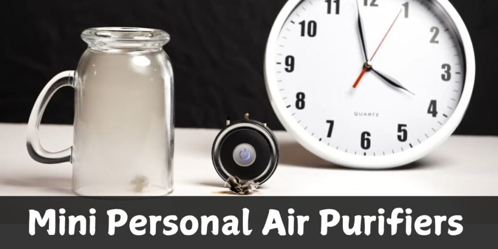Personal Air Purifiers