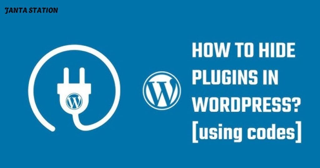 What is WordPress Plugin?