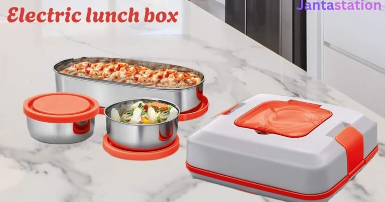 Electric lunch box