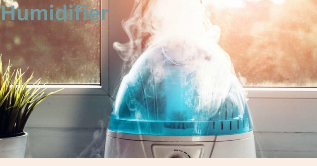 Best Humidifier