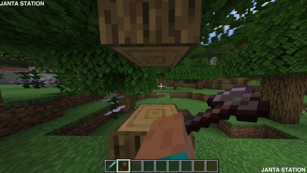 Minecraft Actions and Stuff Resource Pack: