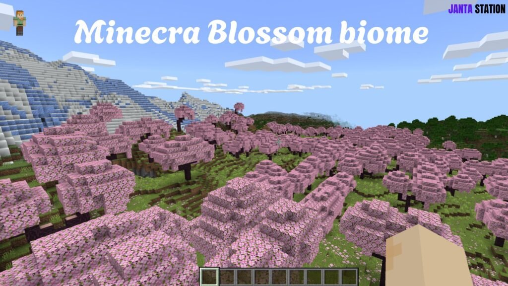 Minecraft Cherry Blossom biome कहाँ और कैसे खोजें?