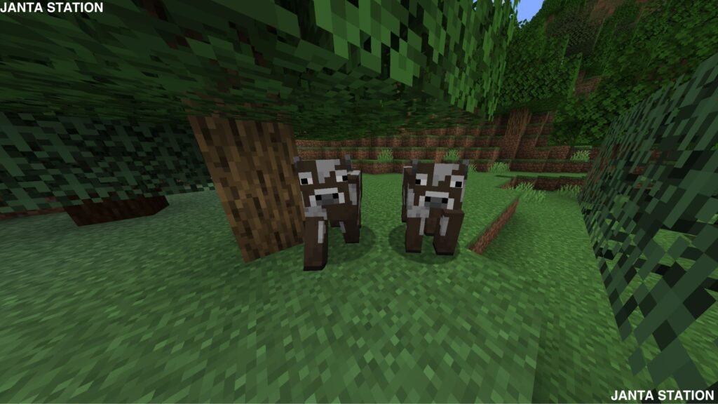 Minecraft Actions and Stuff Resource Pack: